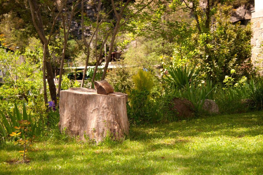 Hotel Badain Lafortunada Esterno foto